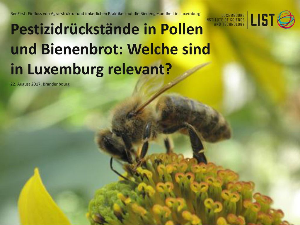 BeeFirst: Einfluss von Agrarstruktur und imkerlichen Praktiken auf die Bienengesundheit in Luxemburg