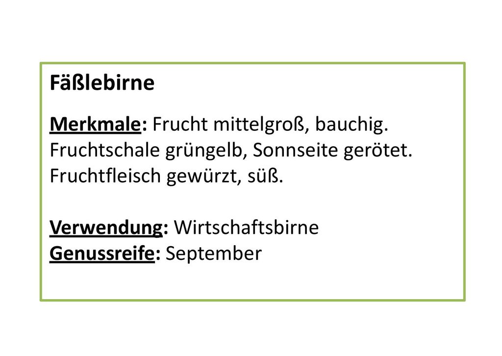 Fäßlebirne Merkmale: Frucht mittelgroß, bauchig. Fruchtschale grüngelb, Sonnseite gerötet. Fruchtfleisch gewürzt, süß.
