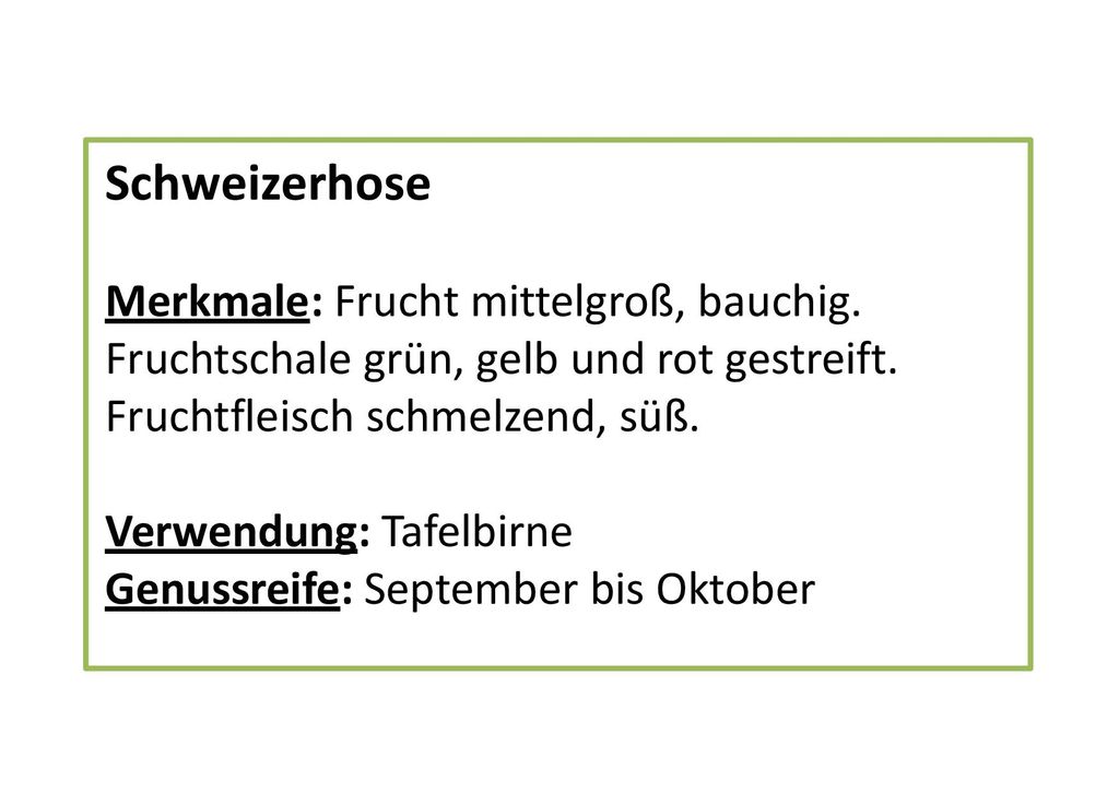 Schweizerhose Merkmale: Frucht mittelgroß, bauchig. Fruchtschale grün, gelb und rot gestreift. Fruchtfleisch schmelzend, süß.