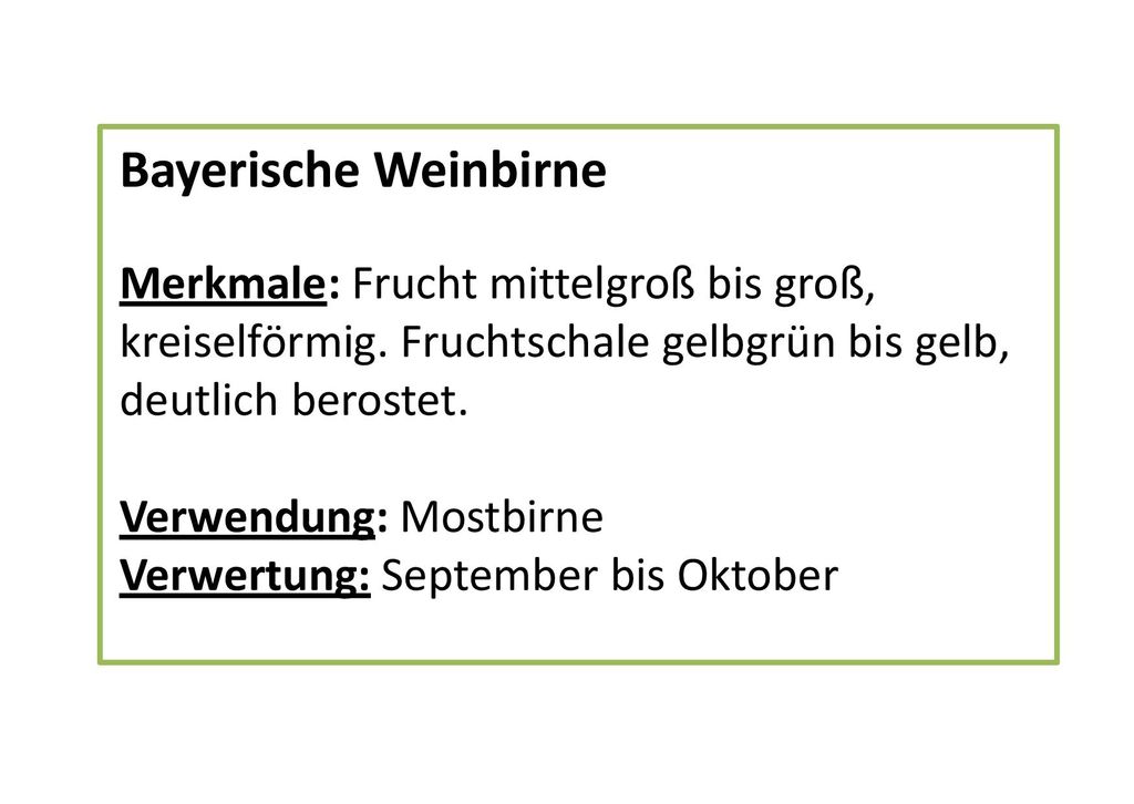 Bayerische Weinbirne Merkmale: Frucht mittelgroß bis groß, kreiselförmig. Fruchtschale gelbgrün bis gelb, deutlich berostet.
