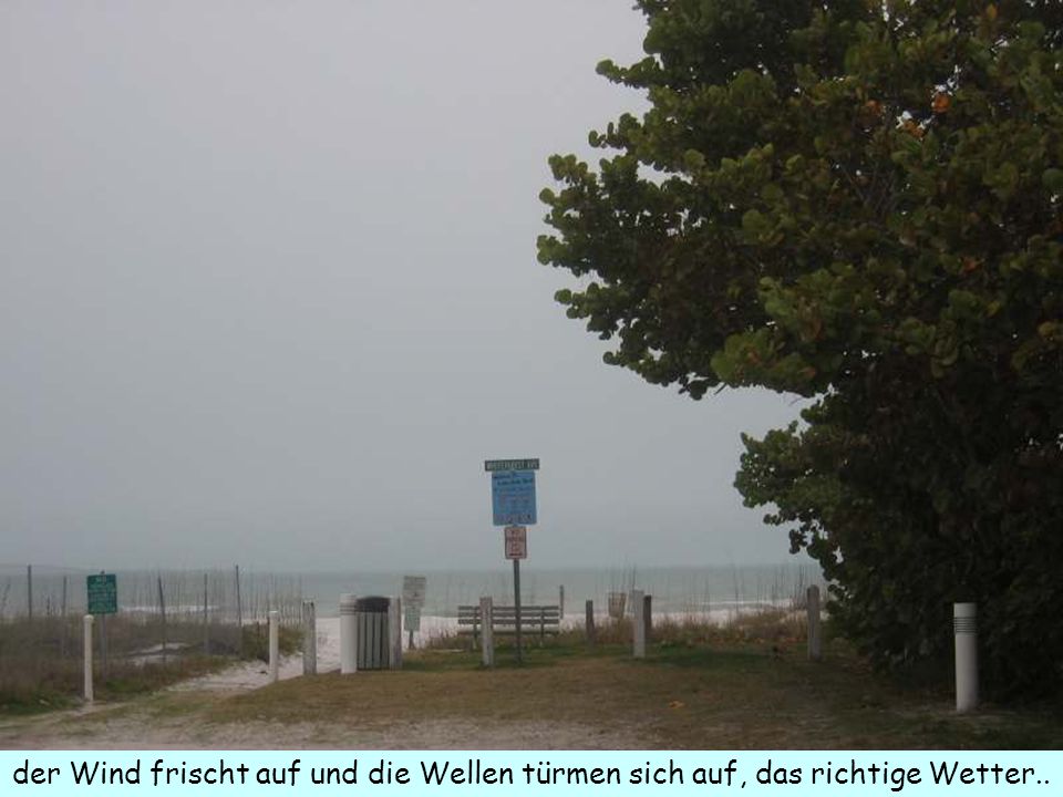 der Wind frischt auf und die Wellen türmen sich auf, das richtige Wetter..