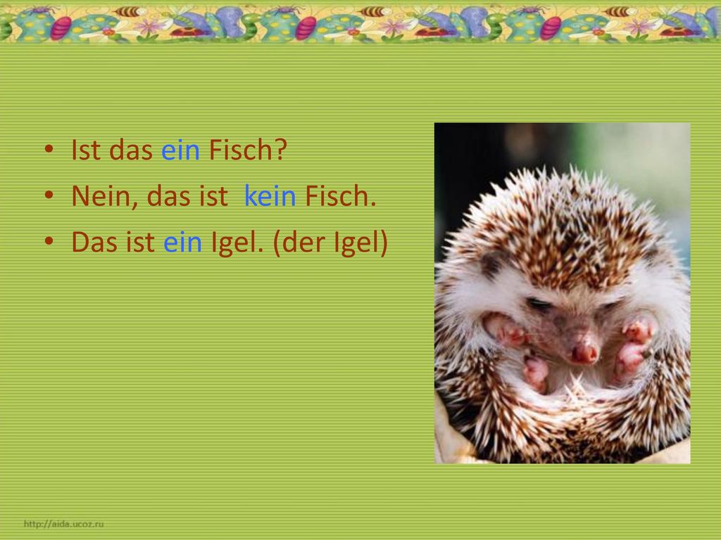 Ist das ein Fisch Nein, das ist kein Fisch. Das ist ein Igel. (der Igel)