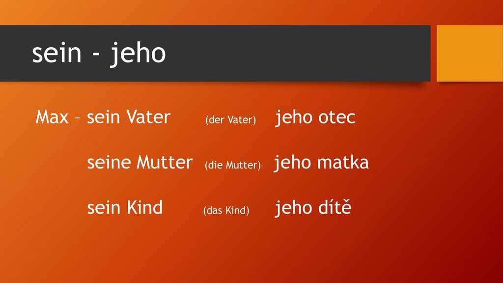 sein - jeho Max – sein Vater (der Vater) jeho otec