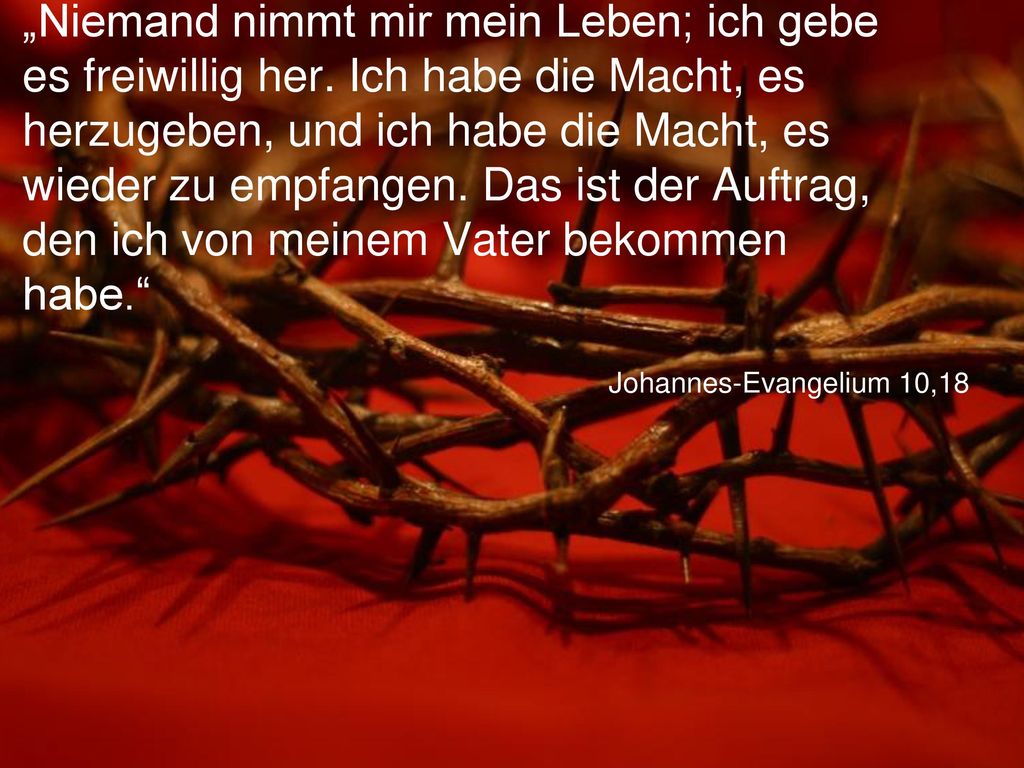 „Niemand nimmt mir mein Leben; ich gebe es freiwillig her