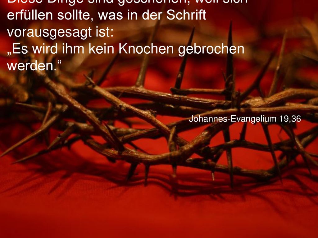 Diese Dinge sind geschehen, weil sich erfüllen sollte, was in der Schrift vorausgesagt ist: „Es wird ihm kein Knochen gebrochen werden.