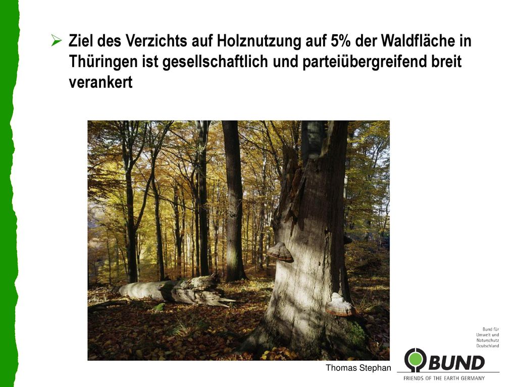 Ziel des Verzichts auf Holznutzung auf 5% der Waldfläche in Thüringen ist gesellschaftlich und parteiübergreifend breit verankert