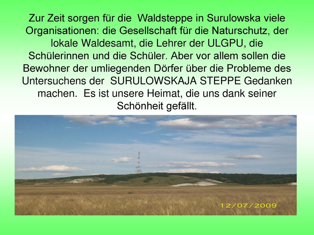Zur Zeit sorgen für die Waldsteppe in Surulowska viele Organisationen: die Gesellschaft für die Naturschutz, der lokale Waldesamt, die Lehrer der ULGPU, die Schülerinnen und die Schüler.
