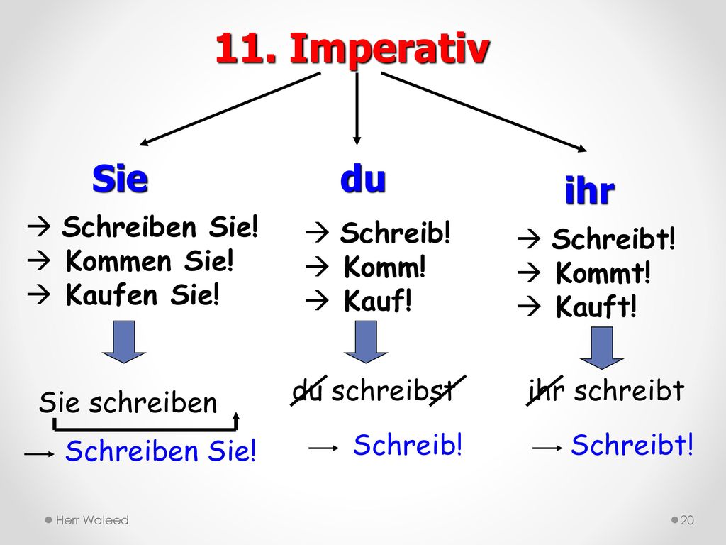11. Imperativ Sie du ihr Schreiben Sie! Kommen Sie! Kaufen Sie!