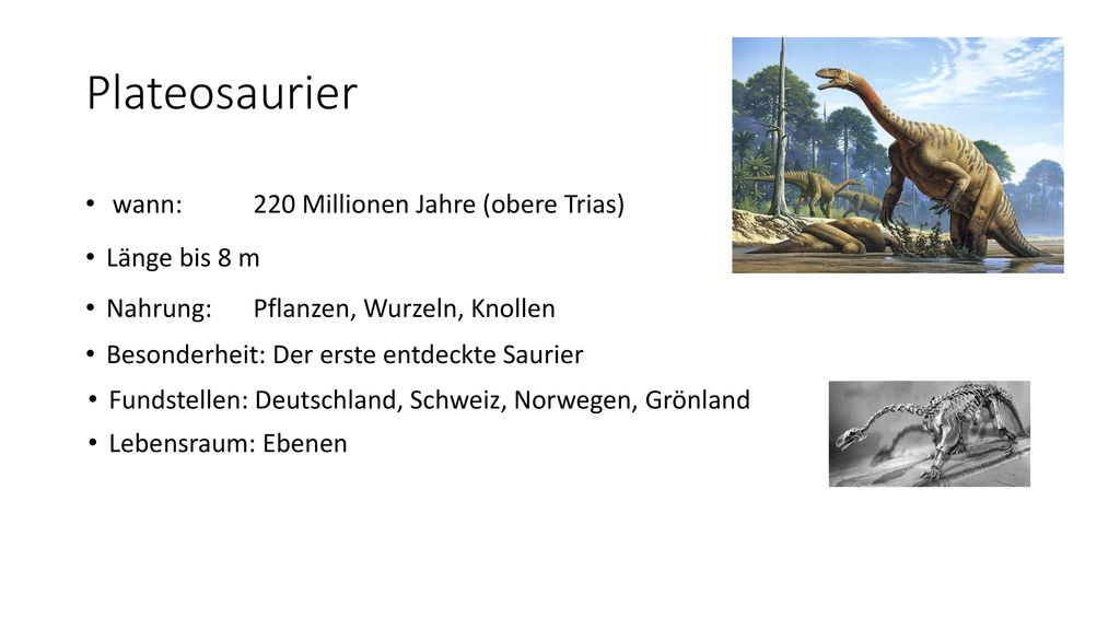 Plateosaurier wann: 220 Millionen Jahre (obere Trias) Länge bis 8 m