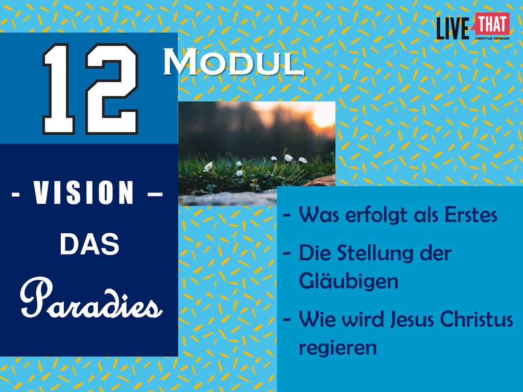 Paradies Modul - VISION – DAS Was erfolgt als Erstes