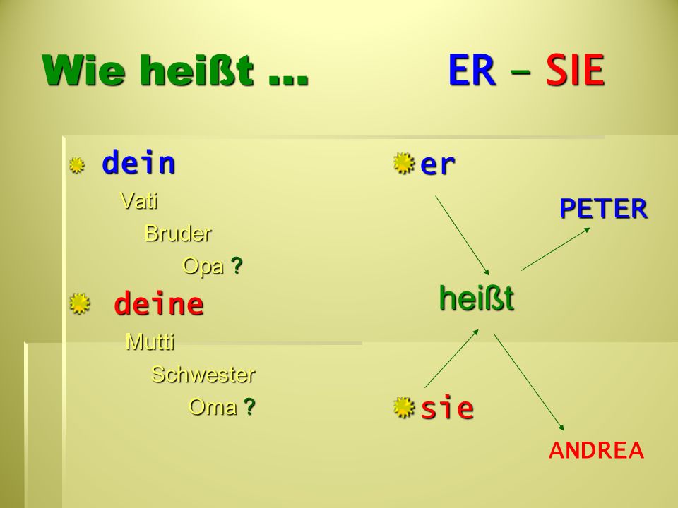 Wie heißt ... ER - SIE er PETER deine sie ANDREA dein Vati Bruder
