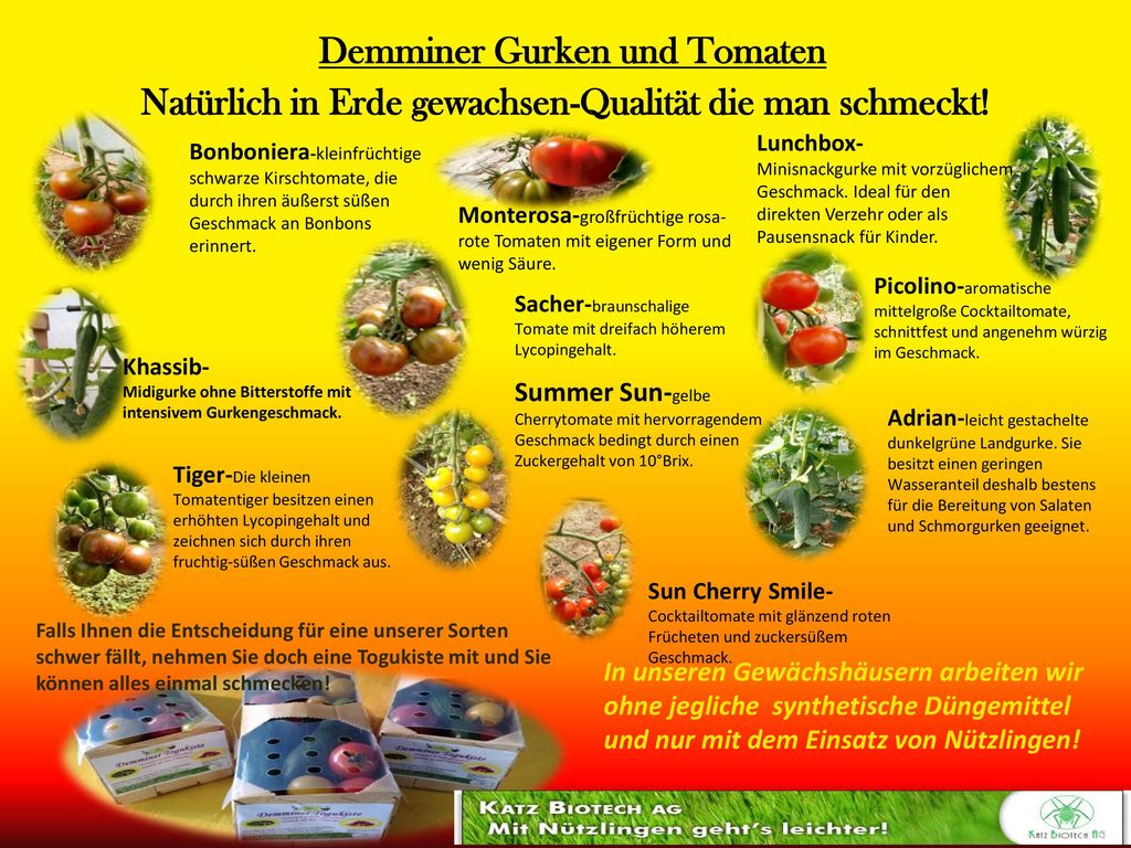 Demminer Gurken und Tomaten Natürlich in Erde gewachsen-Qualität die man schmeckt!