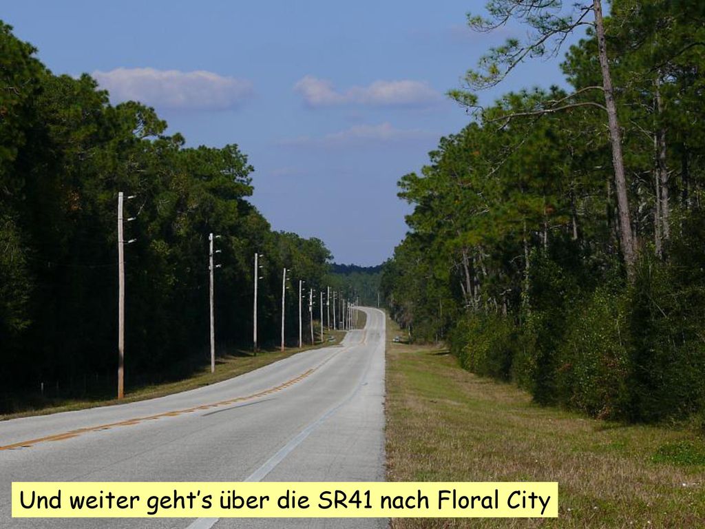 Und weiter geht’s über die SR41 nach Floral City