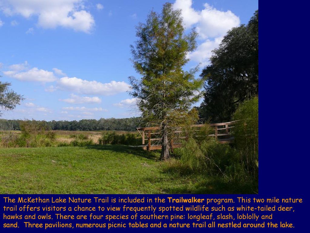 The McKethan Lake Nature Trail is included in the Trailwalker program