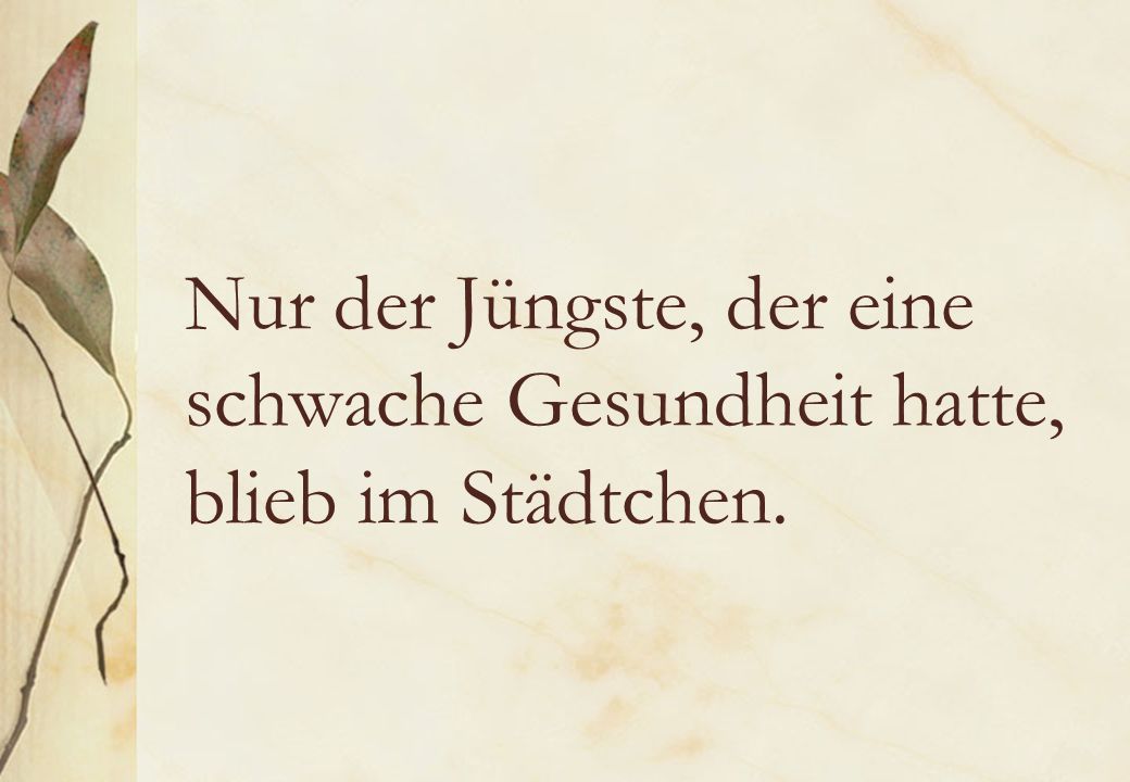 Nur der Jüngste, der eine schwache Gesundheit hatte, blieb im Städtchen.