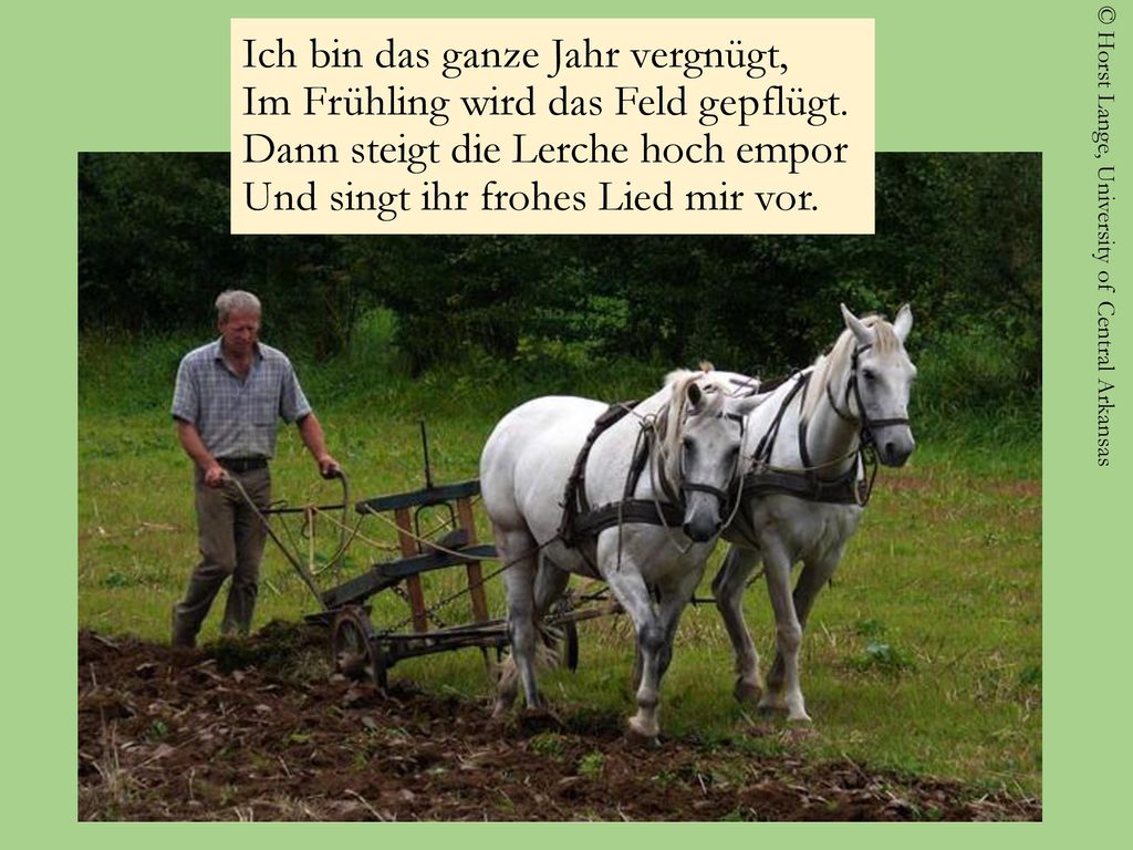 Ich bin das ganze Jahr vergnügt, Im Frühling wird das Feld gepflügt
