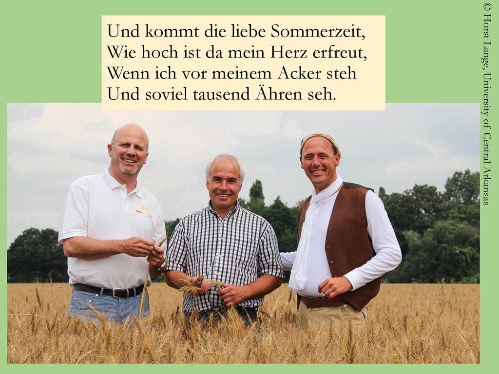 Und kommt die liebe Sommerzeit, Wie hoch ist da mein Herz erfreut, Wenn ich vor meinem Acker steh Und soviel tausend Ähren seh.