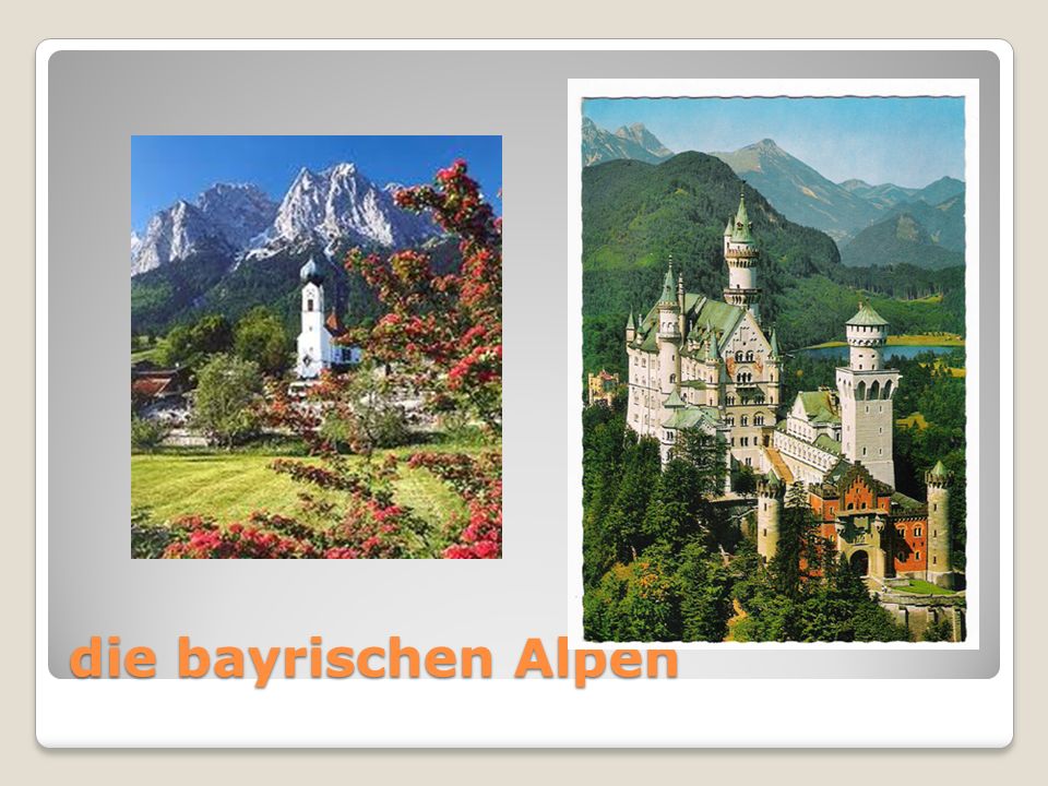 die bayrischen Alpen