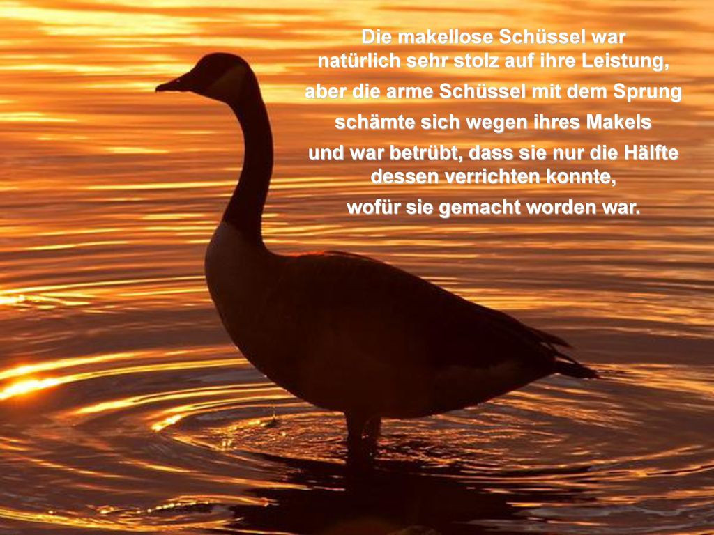 Die makellose Schüssel war natürlich sehr stolz auf ihre Leistung,