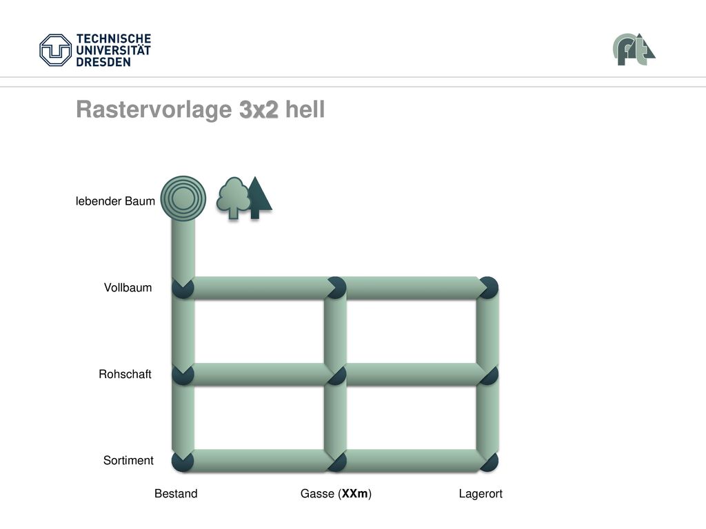Rastervorlage 3x2 hell Vollbaum Rohschaft Sortiment Bestand