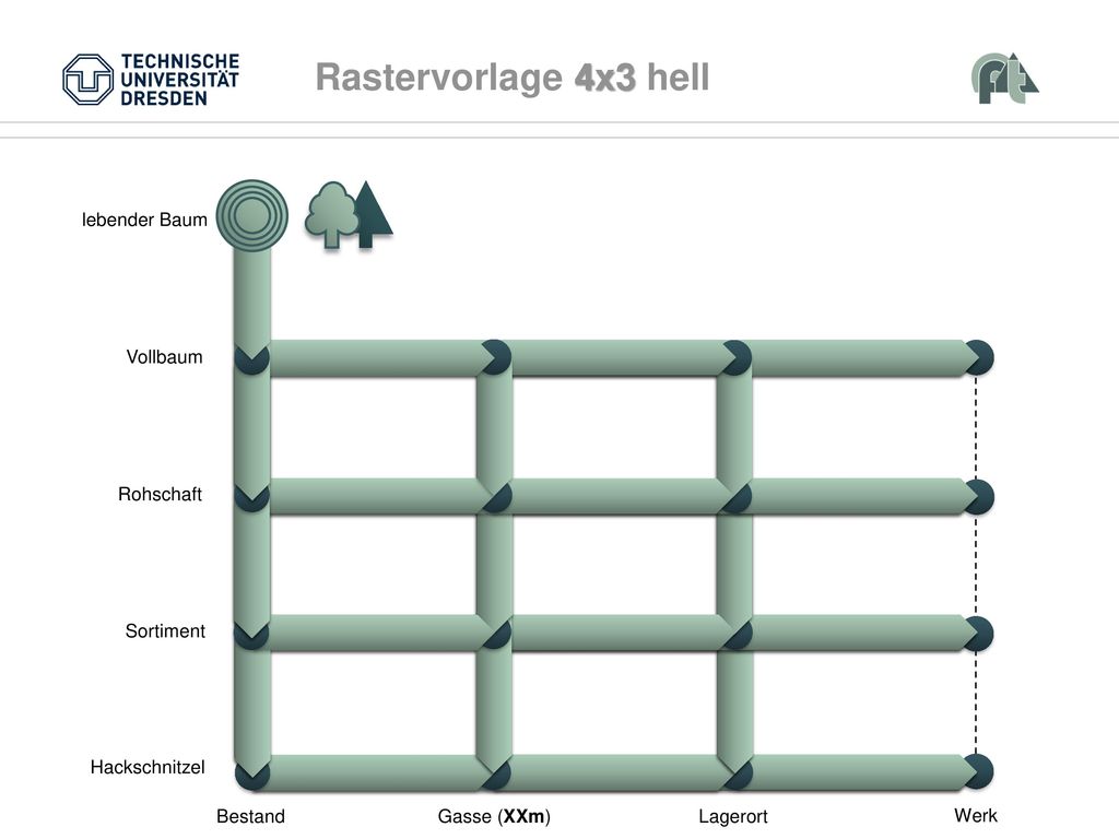 Rastervorlage 4x3 hell Vollbaum Rohschaft Sortiment Bestand