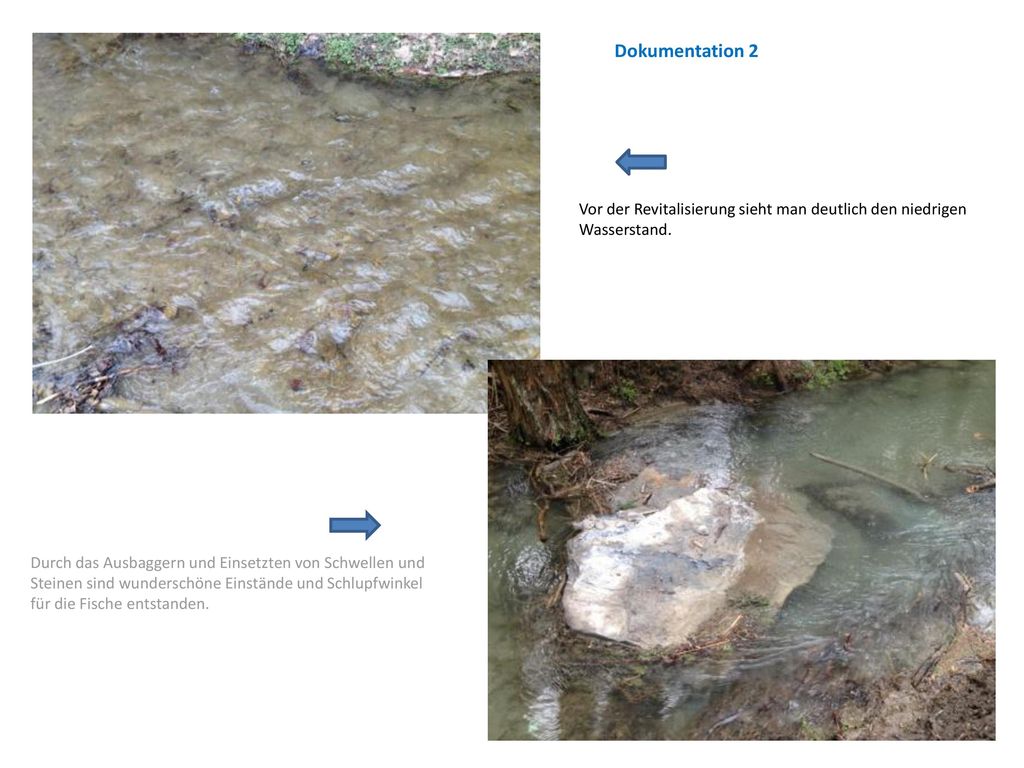Vor der Revitalisierung sieht man deutlich den niedrigen Wasserstand.