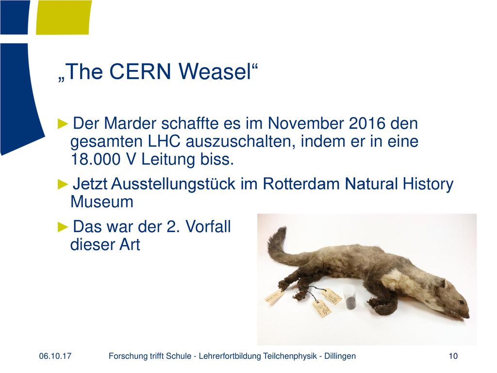 „The CERN Weasel Der Marder schaffte es im November 2016 den gesamten LHC auszuschalten, indem er in eine V Leitung biss.