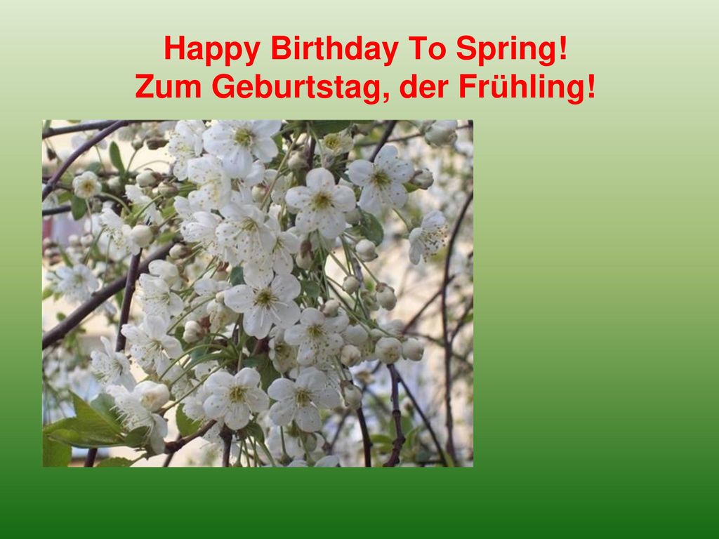 Happy Birthday То Spring! Zum Geburtstag, der Frühling!