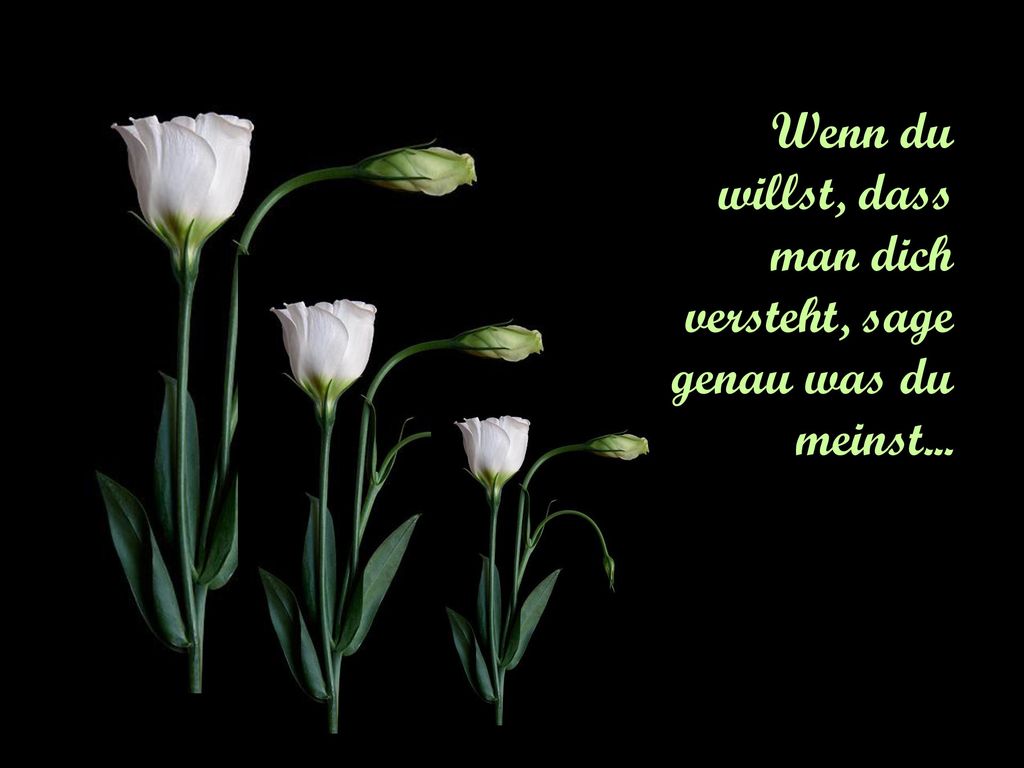 Wenn du willst, dass man dich versteht, sage genau was du meinst...