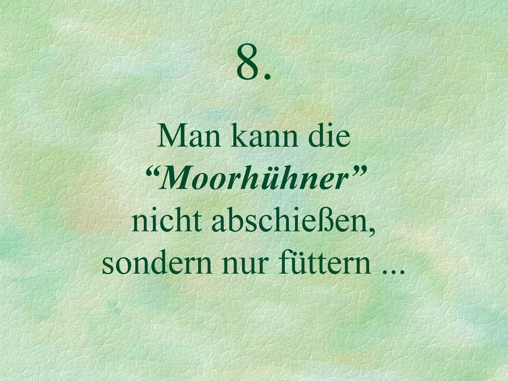 8. Man kann die Moorhühner nicht abschießen, sondern nur füttern ...