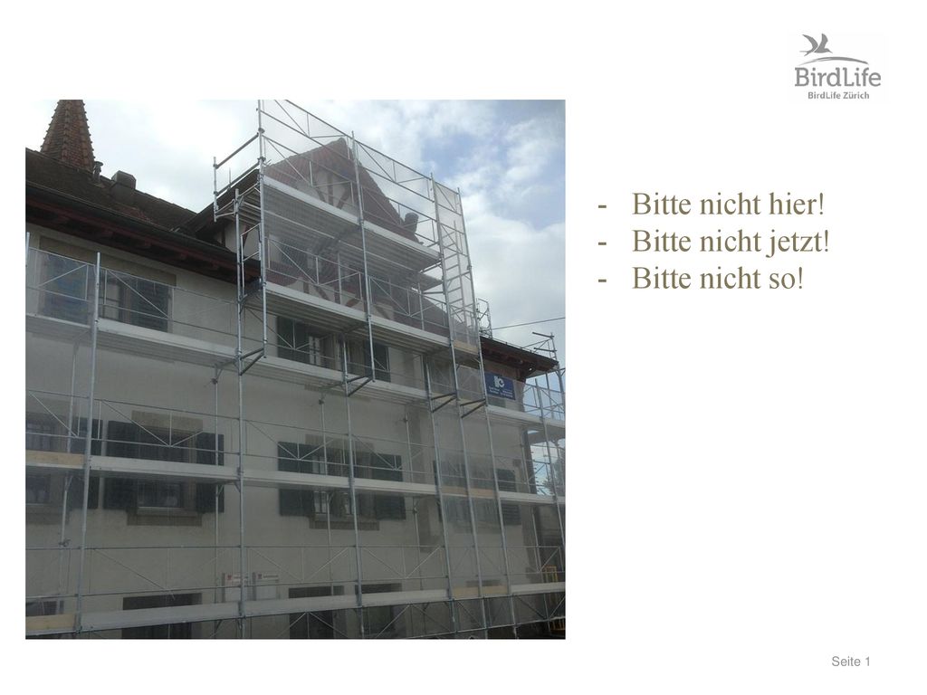 Titel Bitte nicht hier! Bitte nicht jetzt! Bitte nicht so!