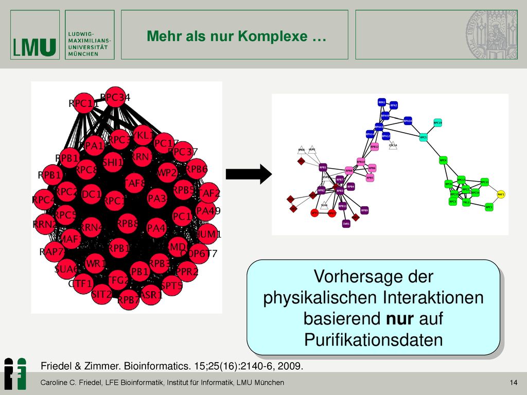 Mehr als nur Komplexe … Vorhersage der physikalischen Interaktionen basierend nur auf Purifikationsdaten.