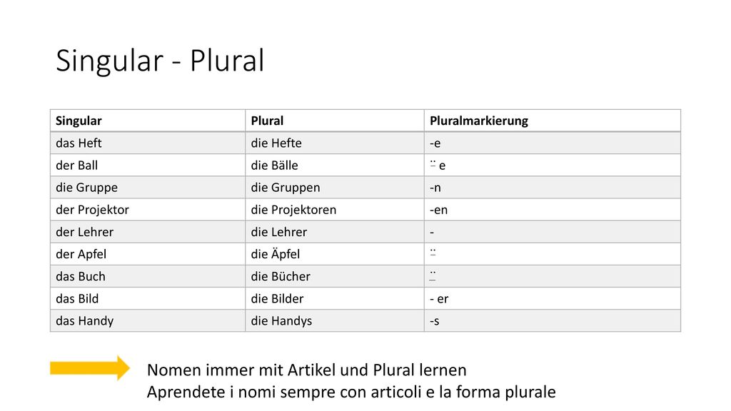 Singular - Plural Nomen immer mit Artikel und Plural lernen