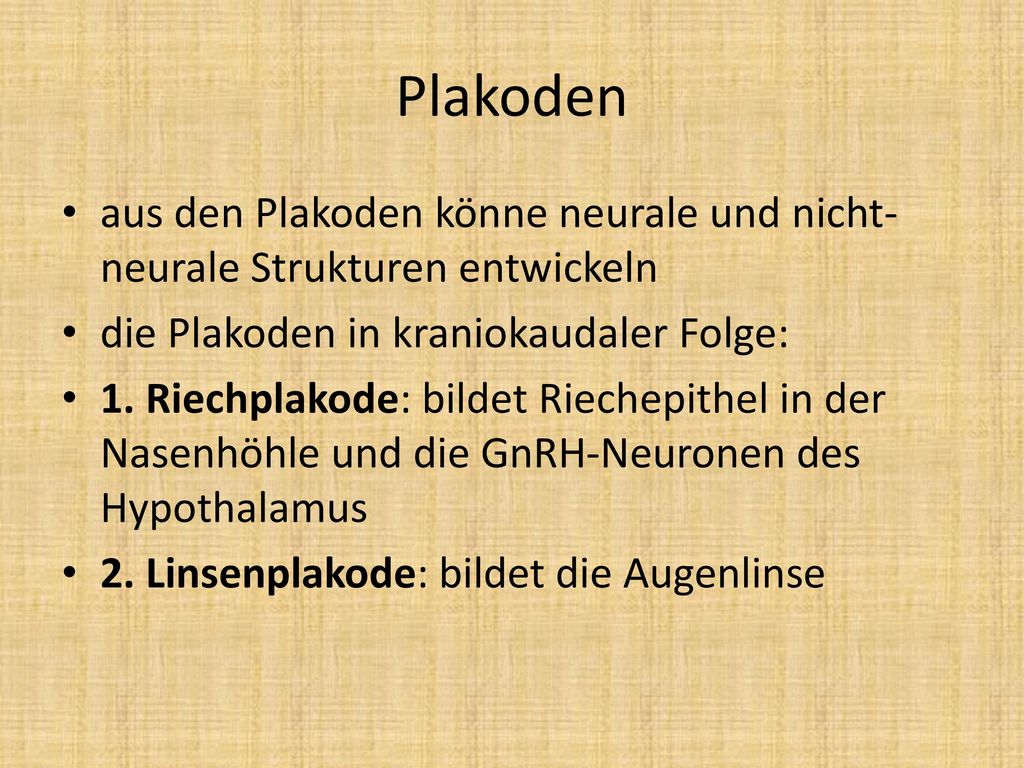 Plakoden aus den Plakoden könne neurale und nicht-neurale Strukturen entwickeln. die Plakoden in kraniokaudaler Folge: