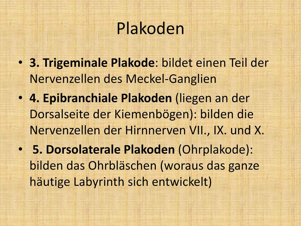 Plakoden 3. Trigeminale Plakode: bildet einen Teil der Nervenzellen des Meckel-Ganglien.