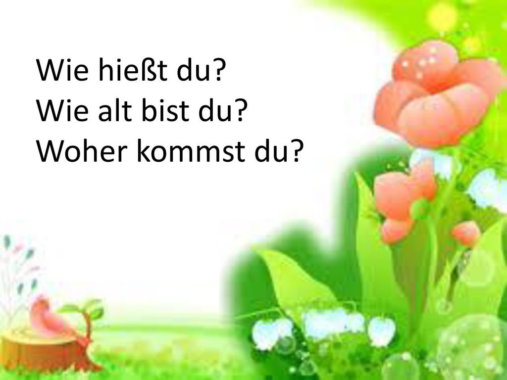 Wie hießt du Wie alt bist du Woher kommst du