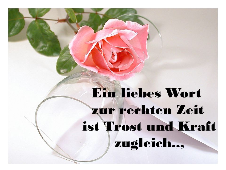 Ein liebes Wort zur rechten Zeit ist Trost und Kraft zugleich..,