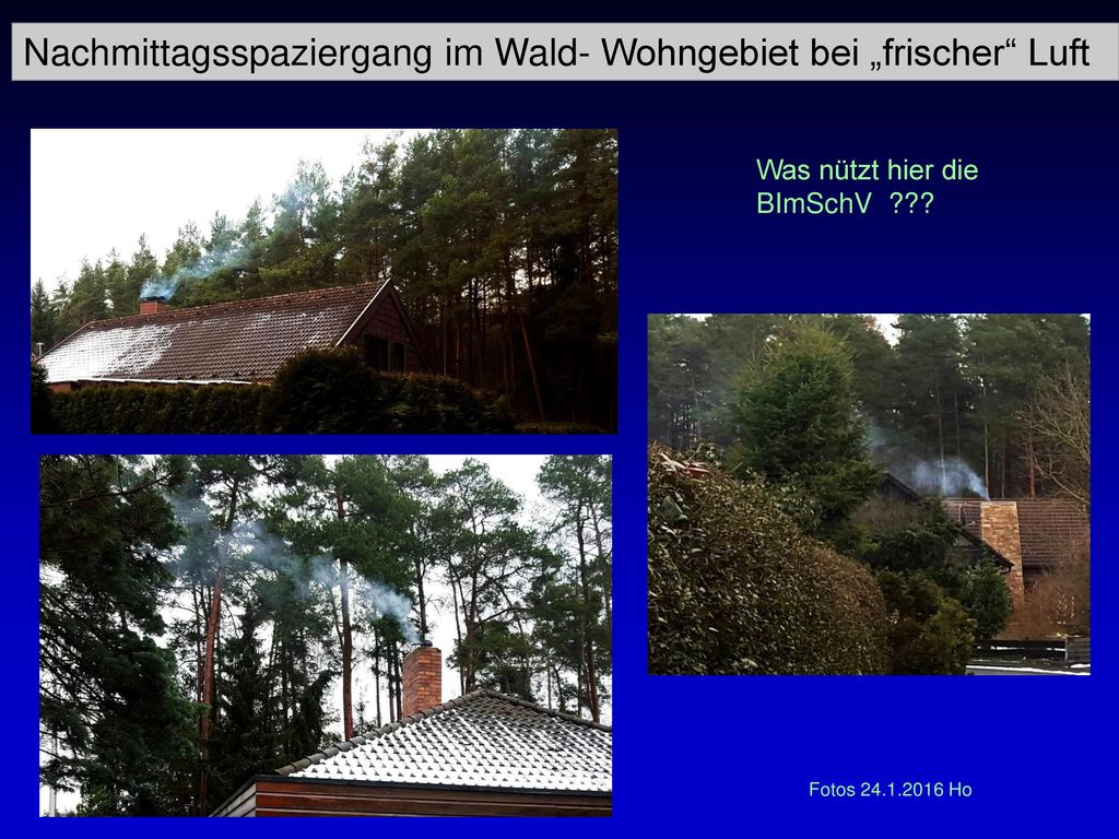 Nachmittagsspaziergang im Wald- Wohngebiet bei „frischer Luft
