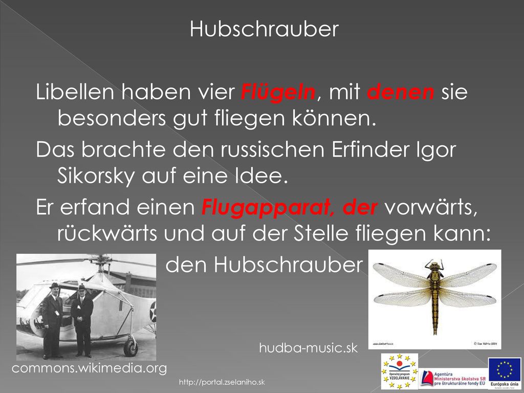 Hubschrauber Libellen haben vier Flügeln, mit denen sie besonders gut fliegen können. Das brachte den russischen Erfinder Igor Sikorsky auf eine Idee. Er erfand einen Flugapparat, der vorwärts, rückwärts und auf der Stelle fliegen kann: den Hubschrauber