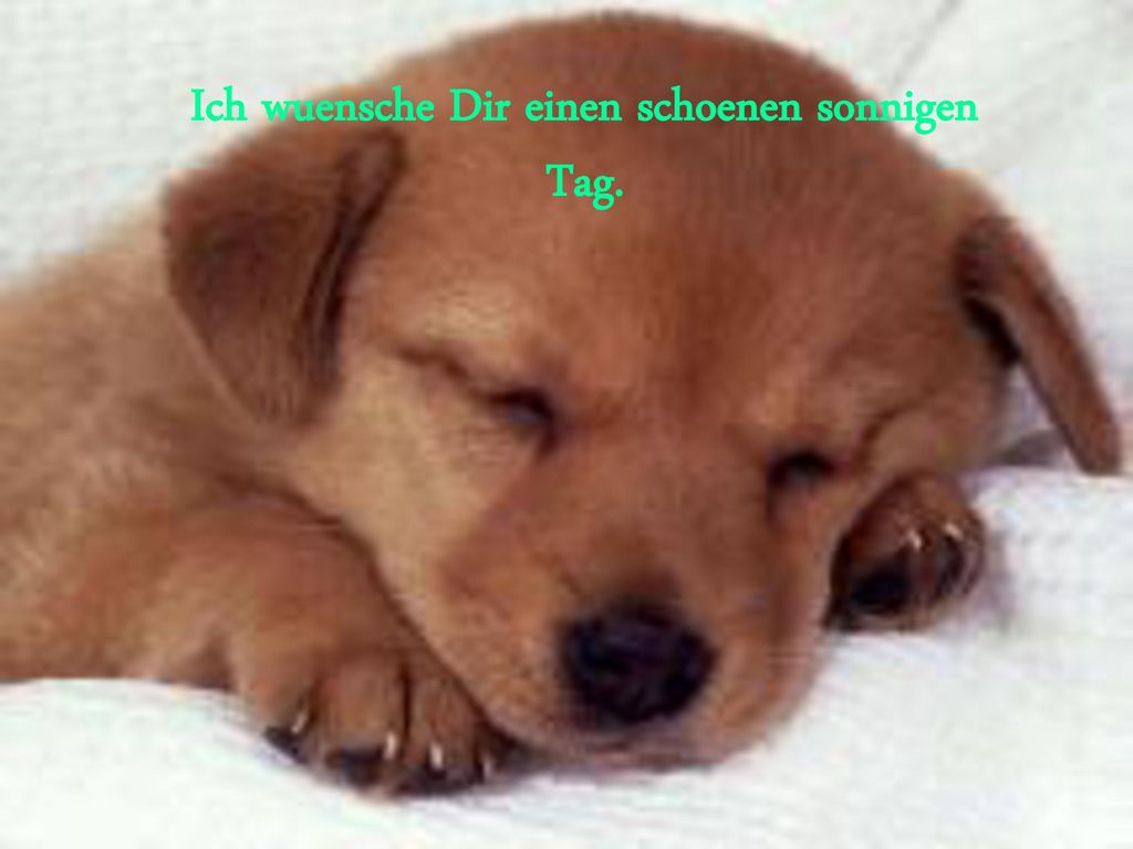 Ich wuensche Dir einen schoenen sonnigen Tag.