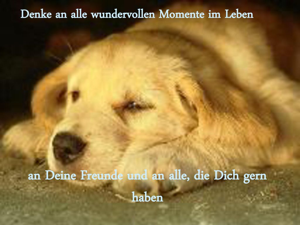 an Deine Freunde und an alle, die Dich gern haben