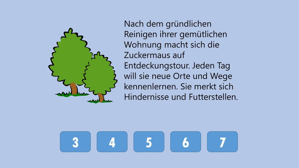 Nach dem gründlichen Reinigen ihrer gemütlichen Wohnung macht sich die Zuckermaus auf Entdeckungstour. Jeden Tag will sie neue Orte und Wege kennenlernen. Sie merkt sich Hindernisse und Futterstellen.