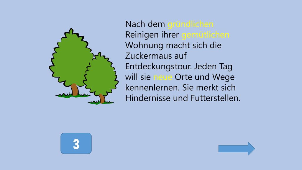 Nach dem gründlichen Reinigen ihrer gemütlichen Wohnung macht sich die Zuckermaus auf Entdeckungstour. Jeden Tag will sie neue Orte und Wege kennenlernen. Sie merkt sich Hindernisse und Futterstellen.
