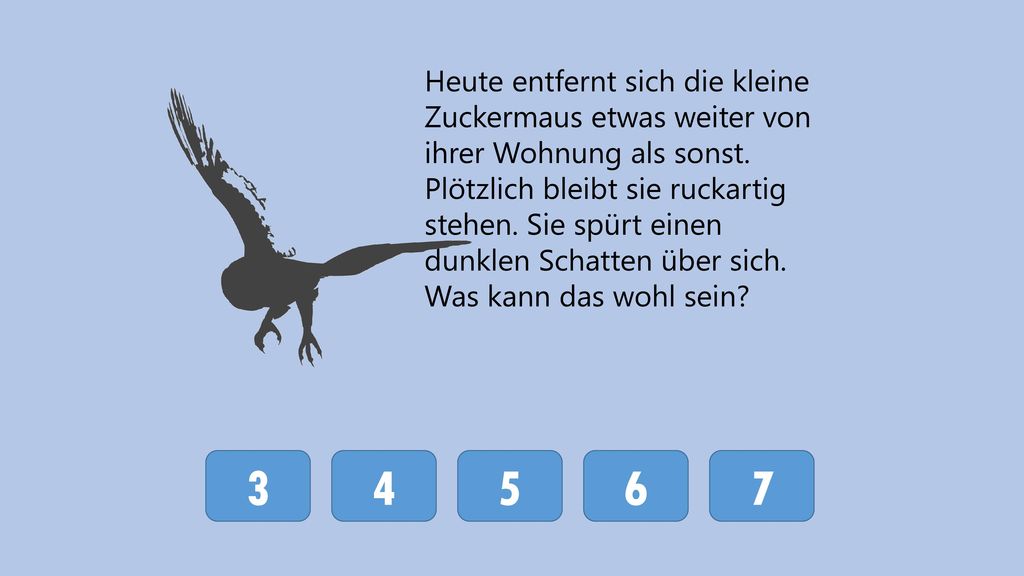 Heute entfernt sich die kleine Zuckermaus etwas weiter von ihrer Wohnung als sonst.