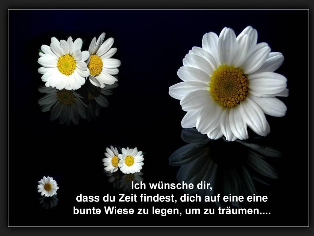Ich wünsche dir, dass du Zeit findest, dich auf eine eine bunte Wiese zu legen, um zu träumen....