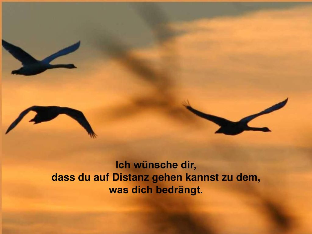 Ich wünsche dir, dass du auf Distanz gehen kannst zu dem, was dich bedrängt.