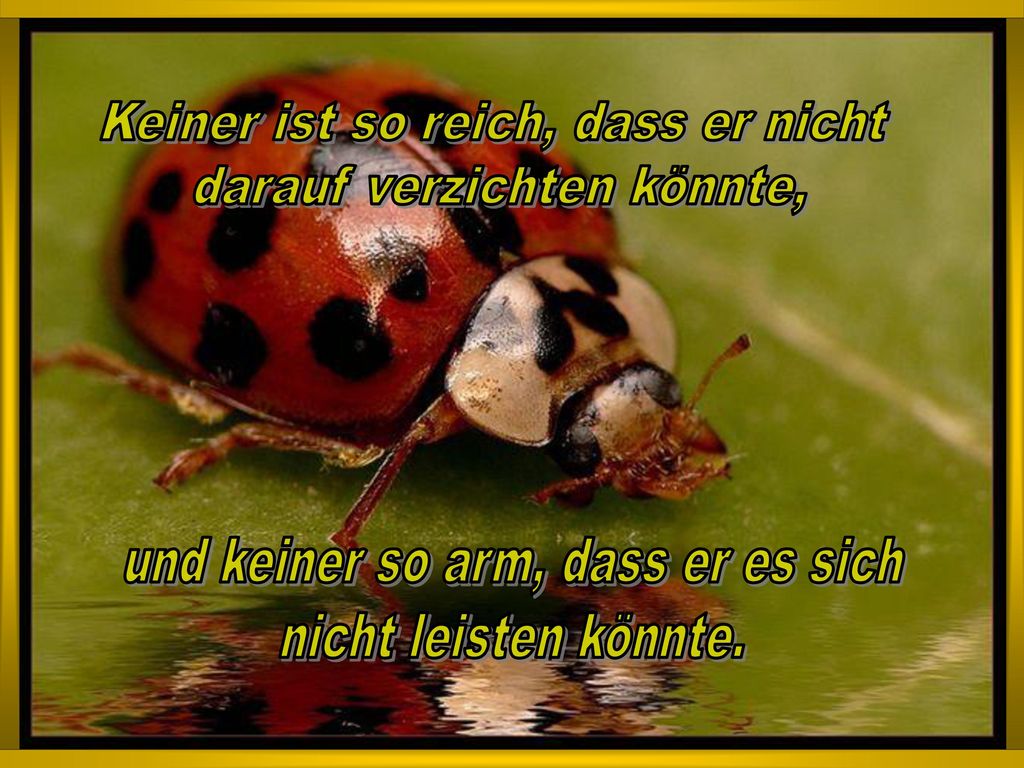 Keiner ist so reich, dass er nicht darauf verzichten könnte,