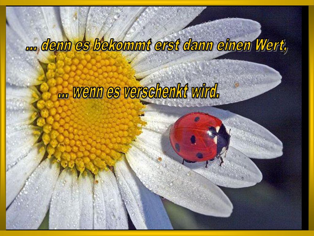 ... denn es bekommt erst dann einen Wert, ... wenn es verschenkt wird.