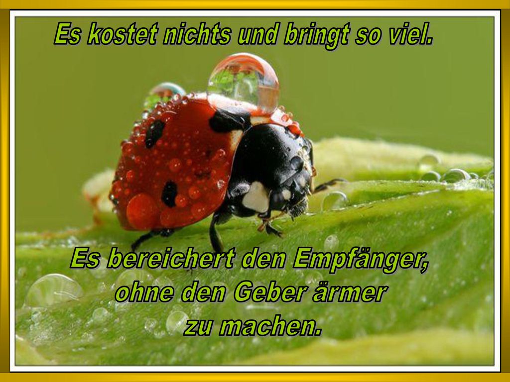 Es kostet nichts und bringt so viel. Es bereichert den Empfänger,