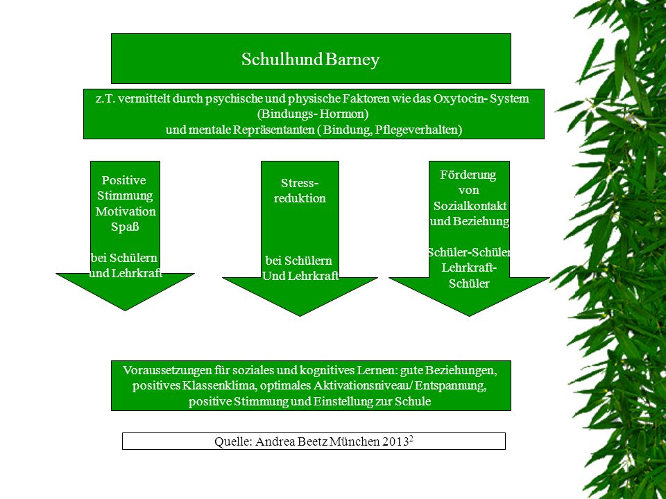 Schulhund Barney z.T. vermittelt durch psychische und physische Faktoren wie das Oxytocin- System. (Bindungs- Hormon)